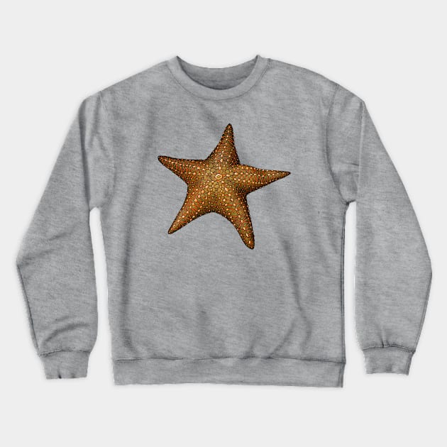 Starfish Crewneck Sweatshirt by Akman